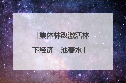 集体林改激活林下经济一池春水