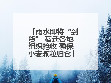 雨水即将“到货” 宿迁各地组织抢收 确保小麦颗粒归仓