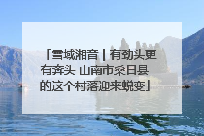雪域湘音｜有劲头更有奔头 山南市桑日县的这个村落迎来蜕变