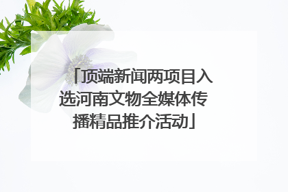 顶端新闻两项目入选河南文物全媒体传播精品推介活动