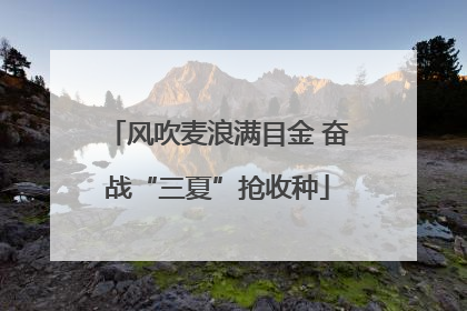 风吹麦浪满目金 奋战“三夏”抢收种