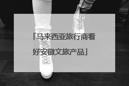 马来西亚旅行商看好安徽文旅产品