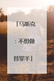 马斯克：不想做替罪羊