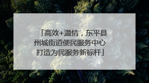 高效+温情，东平县州城街道便民服务中心打造为民服务新标杆