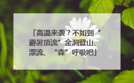 高温来袭？不如到“避暑顶流”金洞登山、漂流、“森”呼吸吧