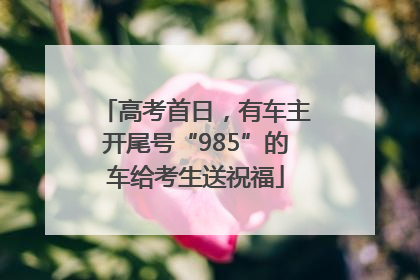 高考首日，有车主开尾号“985”的车给考生送祝福