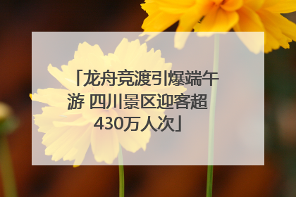 龙舟竞渡引爆端午游 四川景区迎客超430万人次
