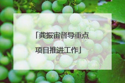 龚振宙督导重点项目推进工作