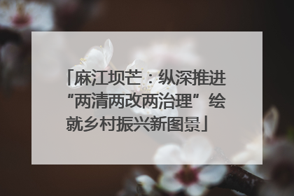 麻江坝芒：纵深推进“两清两改两治理”绘就乡村振兴新图景