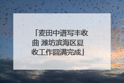 麦田中谱写丰收曲 潍坊滨海区夏收工作圆满完成