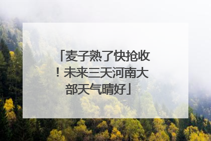 麦子熟了快抢收！未来三天河南大部天气晴好