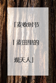 麦收时节丨麦田里的观天人