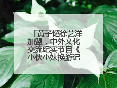 黄子韬徐艺洋加盟，中外文化交流纪实节目《小伙小妹换游记》六月上线