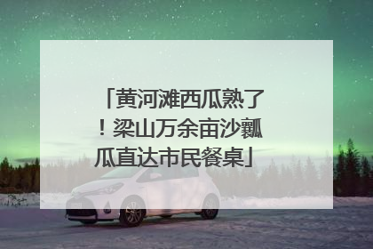 黄河滩西瓜熟了！梁山万余亩沙瓤瓜直达市民餐桌