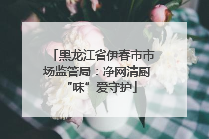 黑龙江省伊春市市场监管局：净网清厨 “味”爱守护