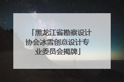 黑龙江省勘察设计协会冰雪创意设计专业委员会揭牌