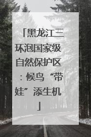 黑龙江三环泡国家级自然保护区：候鸟“带娃”添生机