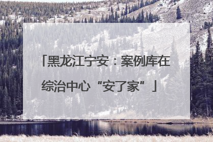 黑龙江宁安：案例库在综治中心“安了家”