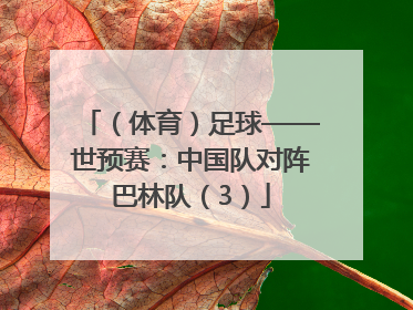 （体育）足球——世预赛：中国队对阵巴林队（3）