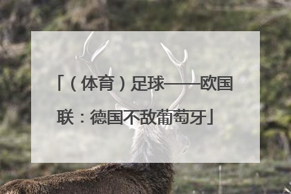 （体育）足球——欧国联：德国不敌葡萄牙
