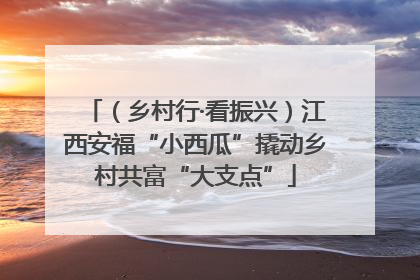 （乡村行·看振兴）江西安福“小西瓜”撬动乡村共富“大支点”