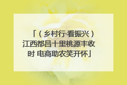 （乡村行·看振兴）江西都昌十里桃源丰收时 电商助农笑开怀