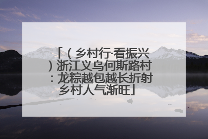 （乡村行·看振兴）浙江义乌何斯路村：龙粽越包越长折射乡村人气渐旺