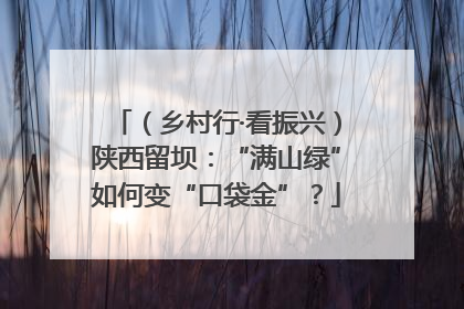 （乡村行·看振兴）陕西留坝：“满山绿”如何变“口袋金”？