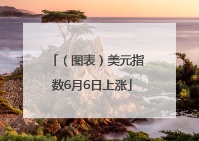 （图表）美元指数6月6日上涨