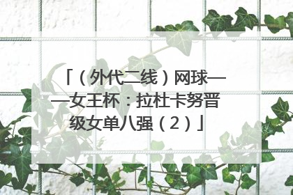 （外代二线）网球——女王杯：拉杜卡努晋级女单八强（2）