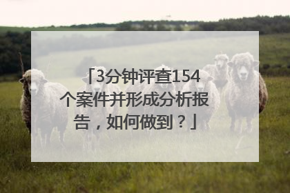 3分钟评查154个案件并形成分析报告，如何做到？