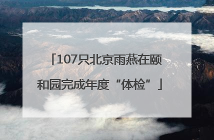 107只北京雨燕在颐和园完成年度“体检”