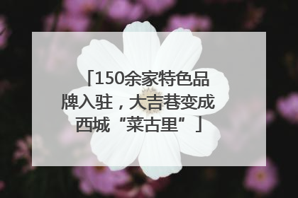 150余家特色品牌入驻，大吉巷变成西城“菜古里”