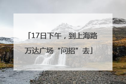 17日下午，到上海路万达广场“问招”去