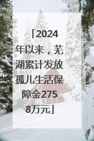 2024年以来，芜湖累计发放孤儿生活保障金2758万元