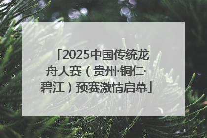 2025中国传统龙舟大赛（贵州·铜仁·碧江）预赛激情启幕