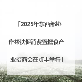2025年东西部协作帮扶促消费暨糯食产业招商会在贞丰举行