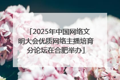 2025年中国网络文明大会优质网络主播培育分论坛在合肥举办