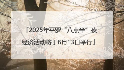 2025年平罗“八点半”夜经济活动将于6月13日举行