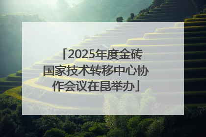 2025年度金砖国家技术转移中心协作会议在昆举办