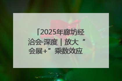 2025年廊坊经洽会·深度｜放大“会展+”乘数效应 打造消费新场景