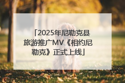2025年尼勒克县旅游推广MV《相约尼勒克》正式上线
