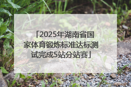 2025年湖南省国家体育锻炼标准达标测试完成5站分站赛