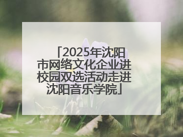 2025年沈阳市网络文化企业进校园双选活动走进沈阳音乐学院