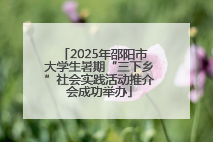 2025年邵阳市大学生暑期“三下乡”社会实践活动推介会成功举办