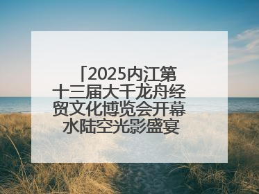 2025内江第十三届大千龙舟经贸文化博览会开幕 水陆空光影盛宴点亮甜城湖