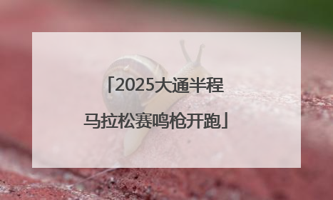 2025大通半程马拉松赛鸣枪开跑