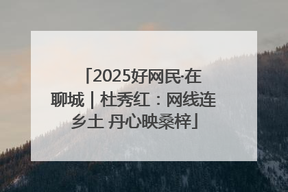 2025好网民·在聊城｜杜秀红：网线连乡土 丹心映桑梓