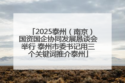 2025泰州（南京）国资国企协同发展恳谈会举行 泰州市委书记用三个关键词推介泰州