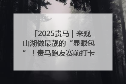 2025贵马｜来观山湖做最靓的“显眼包”！贵马跑友赛前打卡点燃奔跑热情